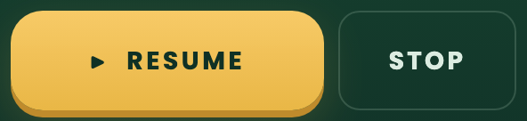 A paused Practice run with Resume and Stop buttons.